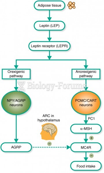 The leptin–melanocortin pathway of energy balance