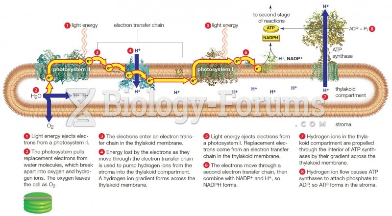 Noncyclic Pathway of Photosynthesis