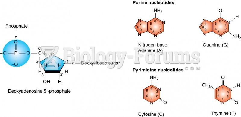 Components of DNA