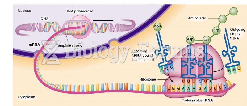 Transcription of messenger RNA (mRNA)