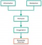 Concepts related to the pathogenesis of myocardial infarction in an individual with diabetes.