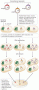 Amplification of recombinant DNA molecules in bacteria