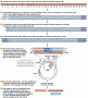 Producing human insulin in E. coli