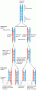 Loss of DNA at telomeres