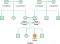 Example of a genetic pedigree of the autosomal recessive disease cystic fibrosis