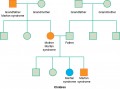 Example of a genetic pedigree of the autosomal dominant disease Marfan syndrome