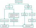 Psychosocial stress affects wound healing through the release of cortisol and by activation of the S