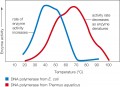 Enzyme activity varies with temperature