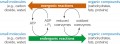 Coupled Reactions