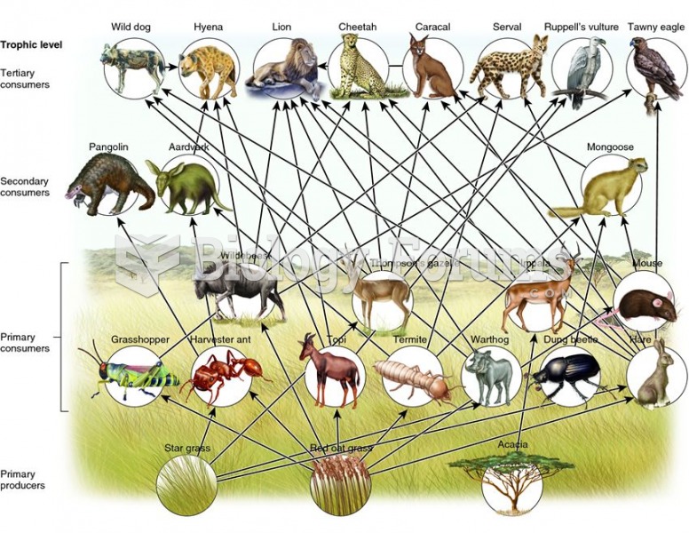 Featured: A simplified food web from an African savannah ecosystem