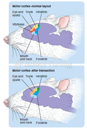 Featured: Reorganization of the rat motor cortex following transection of the motor neurons that control ...