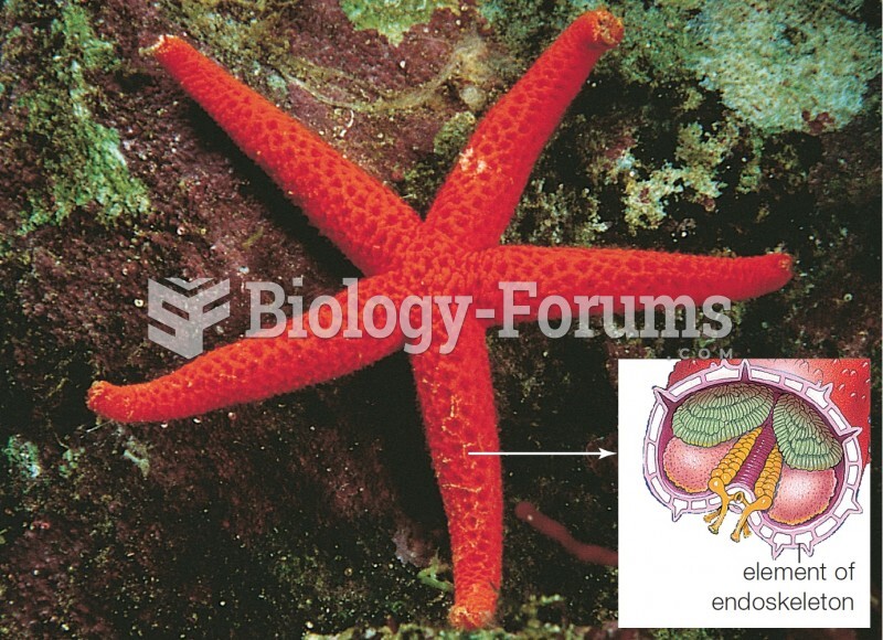 Featured: A sea star