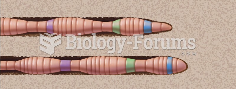 Featured: Hydrostatic Skeleton: Earthworm