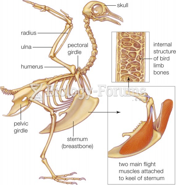 Featured: A bird's skeleton