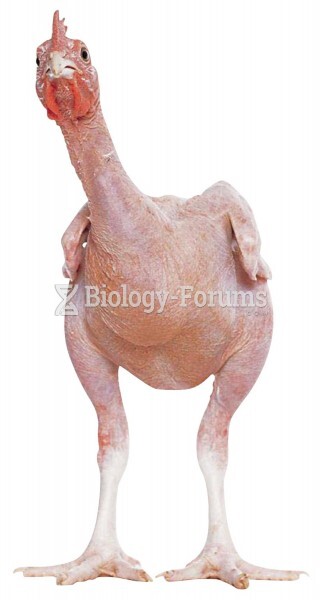 Featured: Genetically Modified Chicken