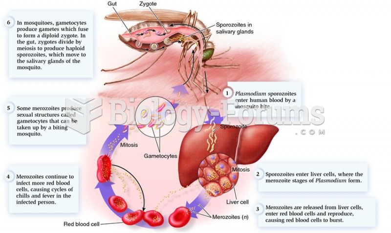 Featured: Diagram of the life cycle of Plasmodium falciparum, the causative agent of malaria